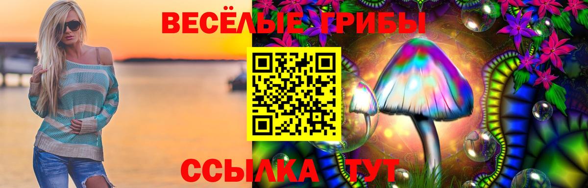 Нефтекумск  продажа наркотиков  Вход с VPN  Галлюциногенные грибы Magic Shrooms  Галлюциногенные грибы MAGIC MUSHROOMS 